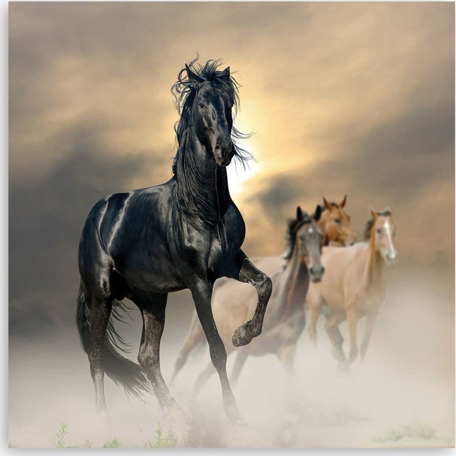 Quadro su tela, Mandria di cavalli in Poster e stampe Collezione Casa - Trebisacce, commercioVirtuoso.it