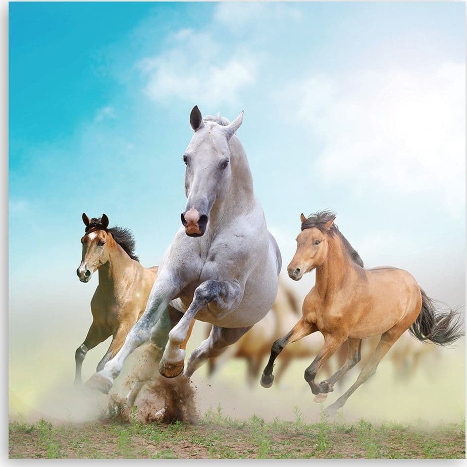 Quadro su tela, Cavalli al galoppo in Poster e stampe Collezione Casa - Trebisacce, commercioVirtuoso.it