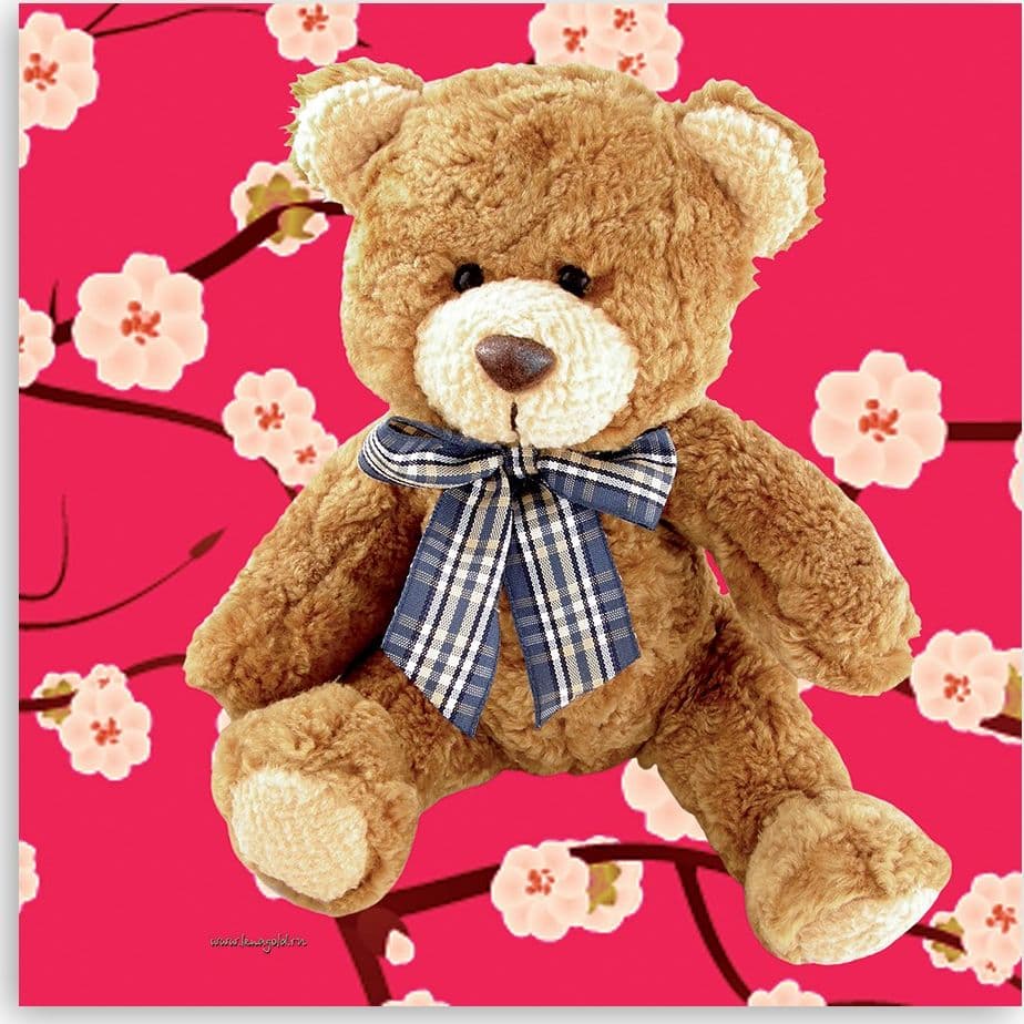Quadro su tela, orsacchiotto di peluche in Poster e stampe Collezione Casa - Trebisacce, commercioVirtuoso.it