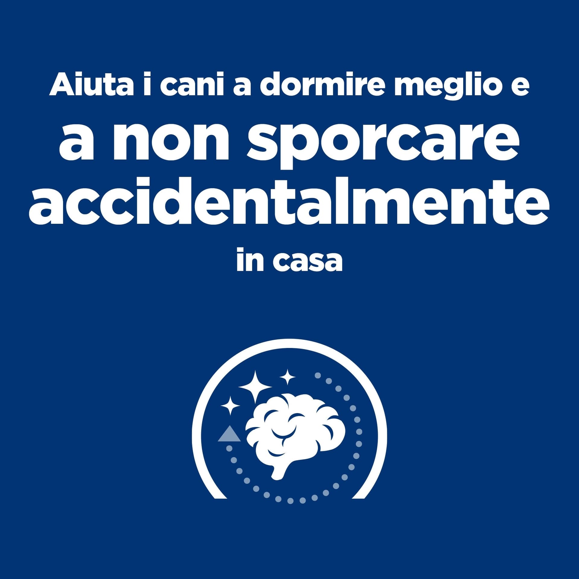 Hill's Prescription Diet Ageing Care secco Cani Adulti pollo 3 kg in Secco 101 Market - Poggibonsi, commercioVirtuoso.it