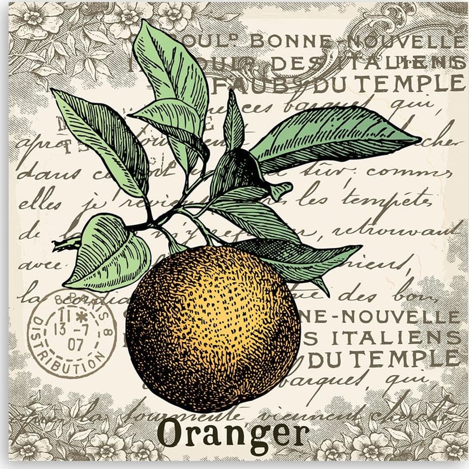 Quadro su tela, Orange vintage in Poster e stampe Collezione Casa - Trebisacce, commercioVirtuoso.it