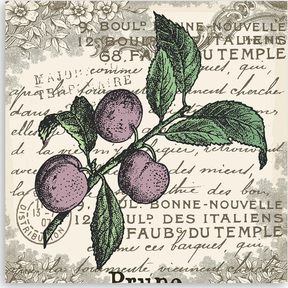 Quadro su tela, Prugna vintage in Poster e stampe Collezione Casa - Trebisacce, commercioVirtuoso.it