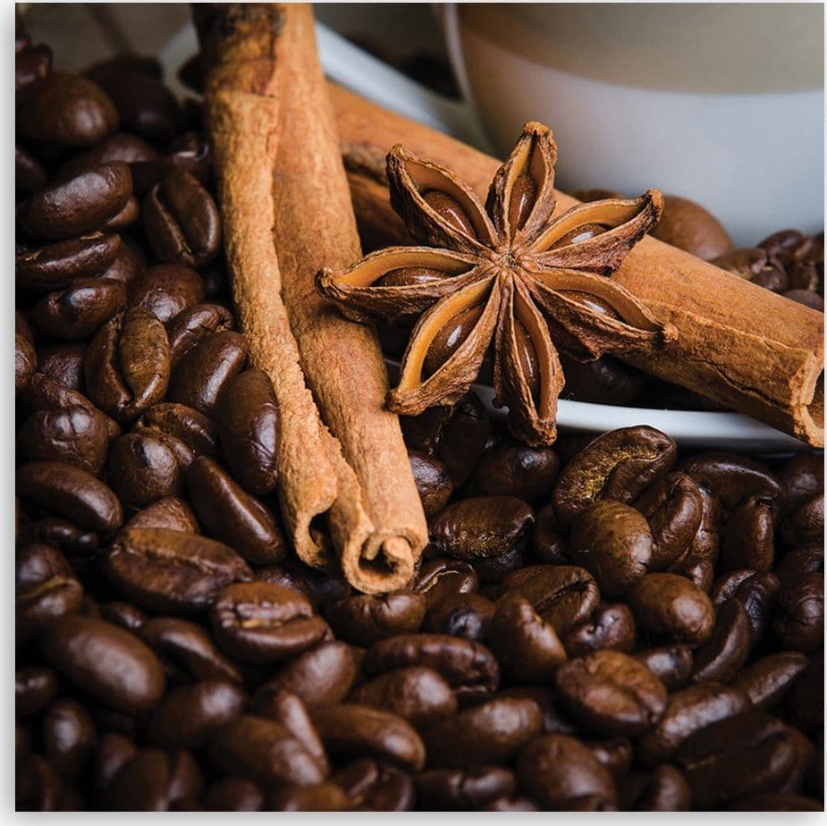 Quadro su tela, Anya Star and Coffee in Poster e stampe Collezione Casa - Trebisacce, commercioVirtuoso.it
