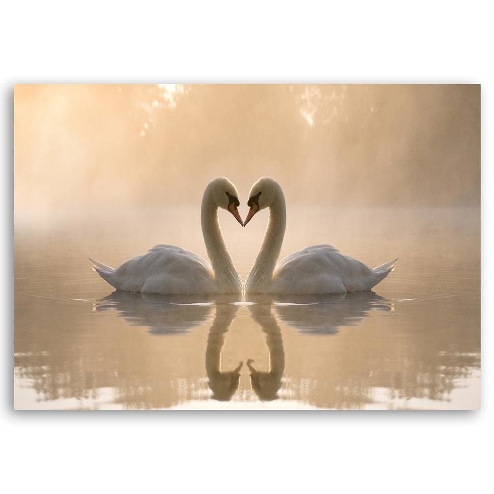 Quadro su tela, Cigni in amore nel mare in Poster e stampe Collezione Casa - Trebisacce, commercioVirtuoso.it