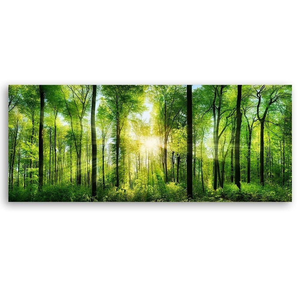 Quadro su tela, Paesaggio Foresta Verde Natura in Poster e stampe Collezione Casa - Trebisacce, commercioVirtuoso.it