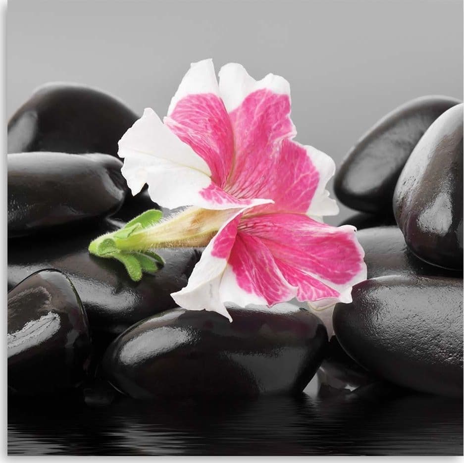 Quadro su tela, Fiori Pietre Zen in Poster e stampe Collezione Casa - Trebisacce, commercioVirtuoso.it