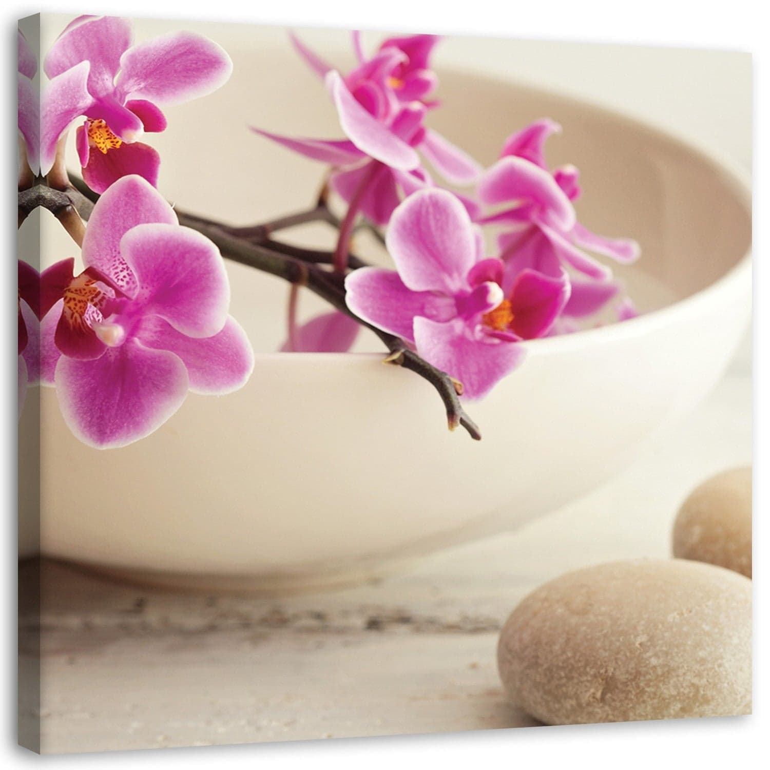 Quadro su tela, Orchidee rosa zen in Poster e stampe Collezione Casa - Trebisacce, commercioVirtuoso.it