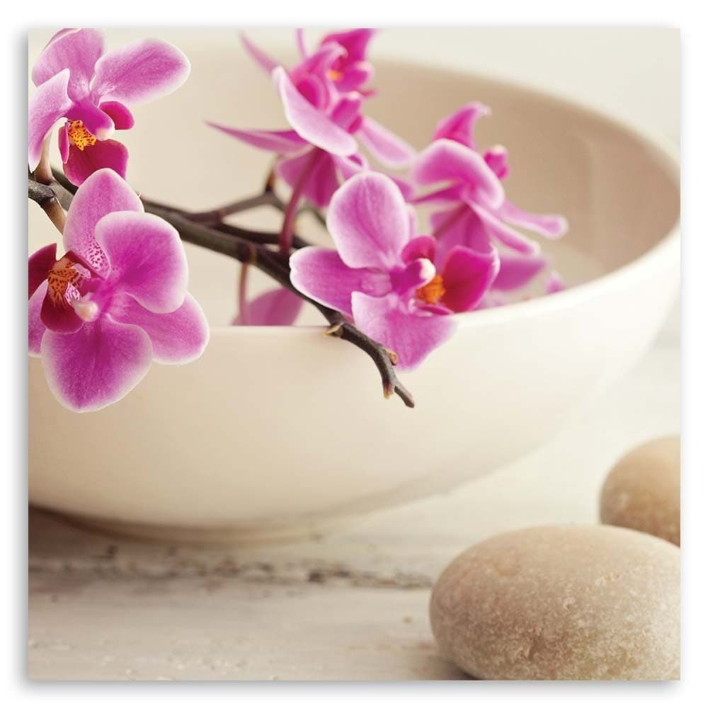 Quadro su tela, Orchidee rosa zen in Poster e stampe Collezione Casa - Trebisacce, commercioVirtuoso.it