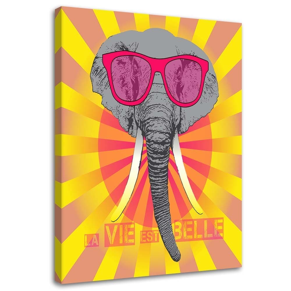 Quadro su tela, Elefante colorato con occhiali in Poster e stampe Collezione Casa - Trebisacce, commercioVirtuoso.it