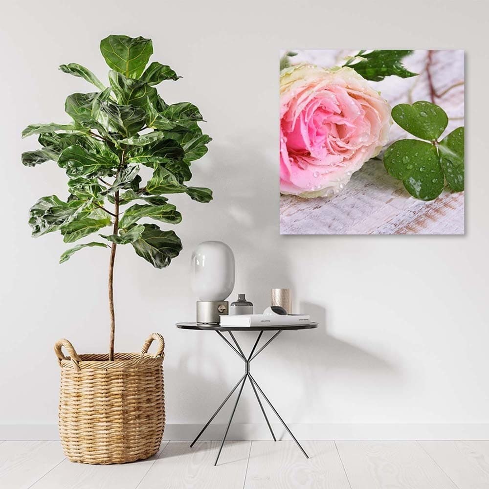 Quadro su tela, Rosa fiore rosa natura in Poster e stampe Collezione Casa - Trebisacce, commercioVirtuoso.it