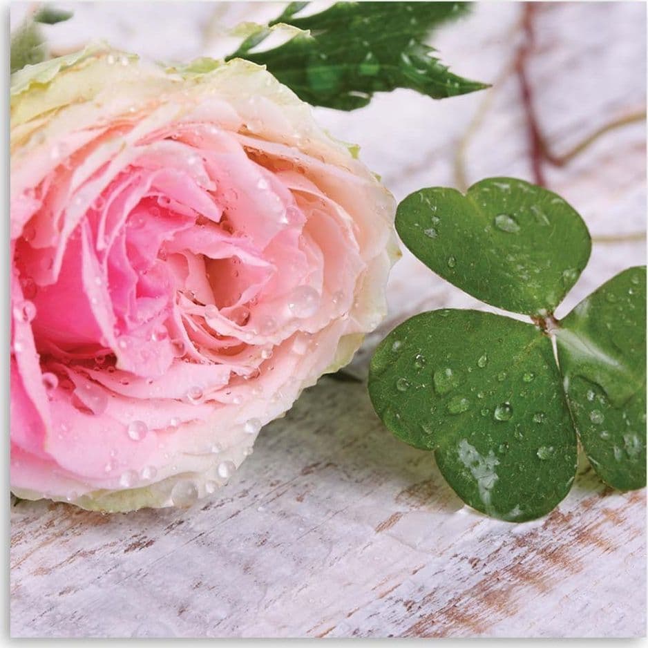 Quadro su tela, Rosa fiore rosa natura in Poster e stampe Collezione Casa - Trebisacce, commercioVirtuoso.it