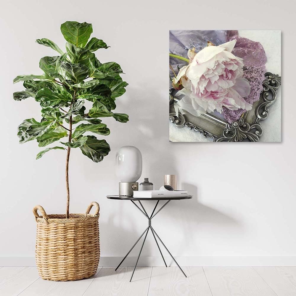 Quadro su tela, Fiore di rosa shabby chic in Poster e stampe Collezione Casa - Trebisacce, commercioVirtuoso.it
