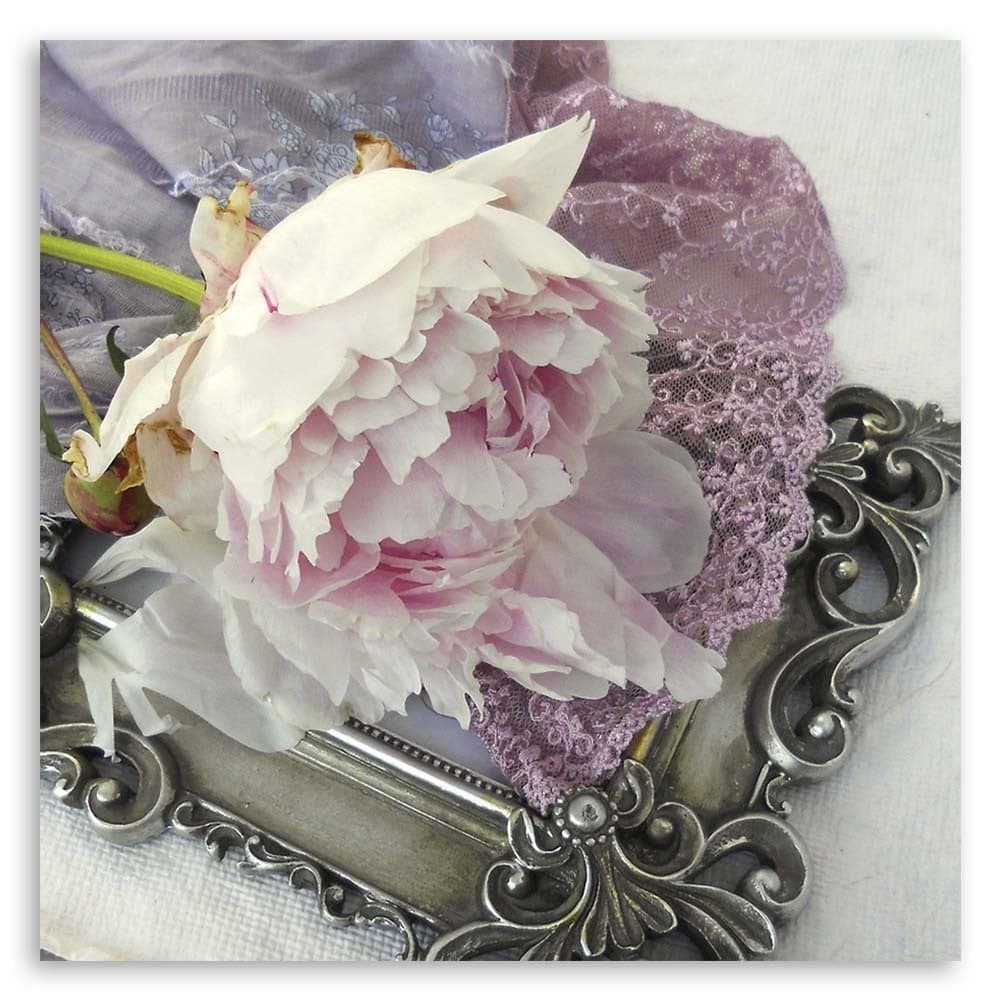 Quadro su tela, Fiore di rosa shabby chic in Poster e stampe Collezione Casa - Trebisacce, commercioVirtuoso.it