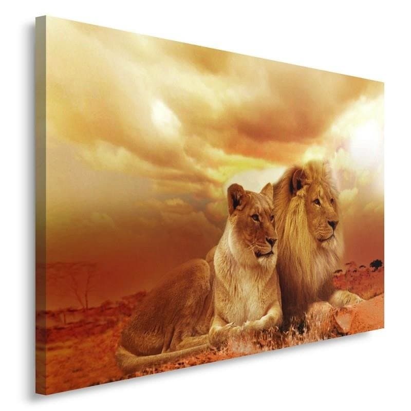 Quadro su tela, Leoni Animali Africa Marrone in Poster e stampe Collezione Casa - Trebisacce, commercioVirtuoso.it