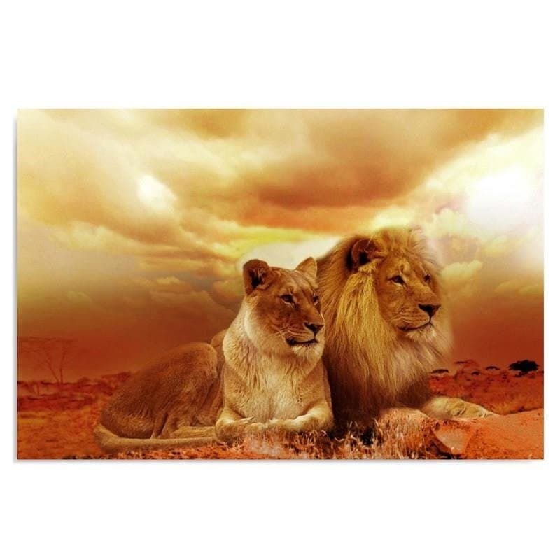 Quadro su tela, Leoni Animali Africa Marrone in Poster e stampe Collezione Casa - Trebisacce, commercioVirtuoso.it