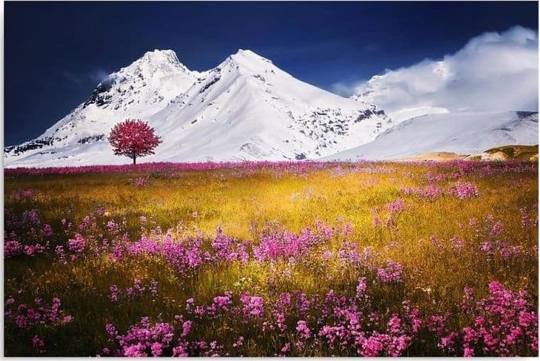 Quadro su tela, Montagna Paesaggio Natura in Poster e stampe Collezione Casa - Trebisacce, commercioVirtuoso.it