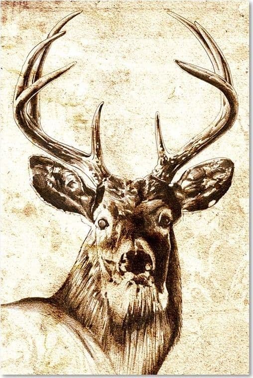 Quadro su tela, Animali Cervo Vintage Beige in Poster e stampe Collezione Casa - Trebisacce, commercioVirtuoso.it