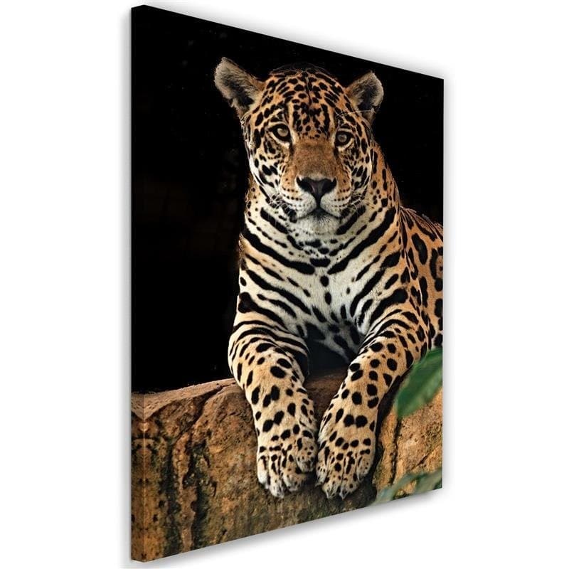 Quadro su tela, Leopardo Animali Natura in Poster e stampe Collezione Casa - Trebisacce, commercioVirtuoso.it