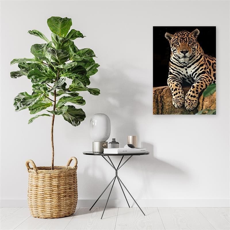 Quadro su tela, Leopardo Animali Natura in Poster e stampe Collezione Casa - Trebisacce, commercioVirtuoso.it