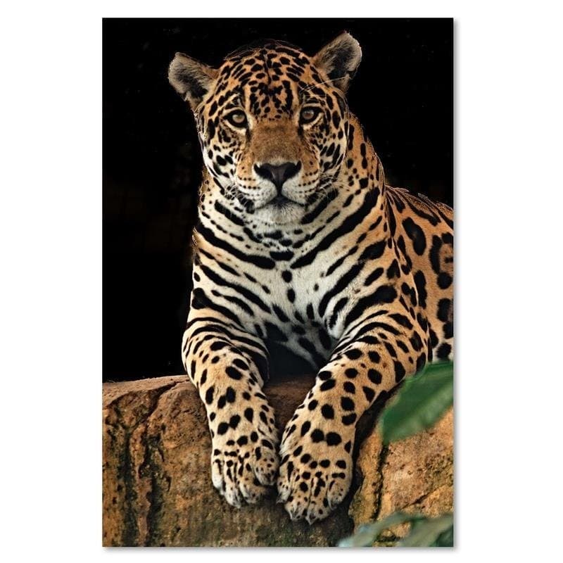 Quadro su tela, Leopardo Animali Natura in Poster e stampe Collezione Casa - Trebisacce, commercioVirtuoso.it