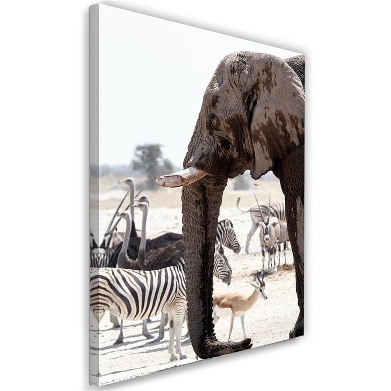 Quadro su tela, Elefante Africa Animali Natura in Poster e stampe Collezione Casa - Trebisacce, commercioVirtuoso.it