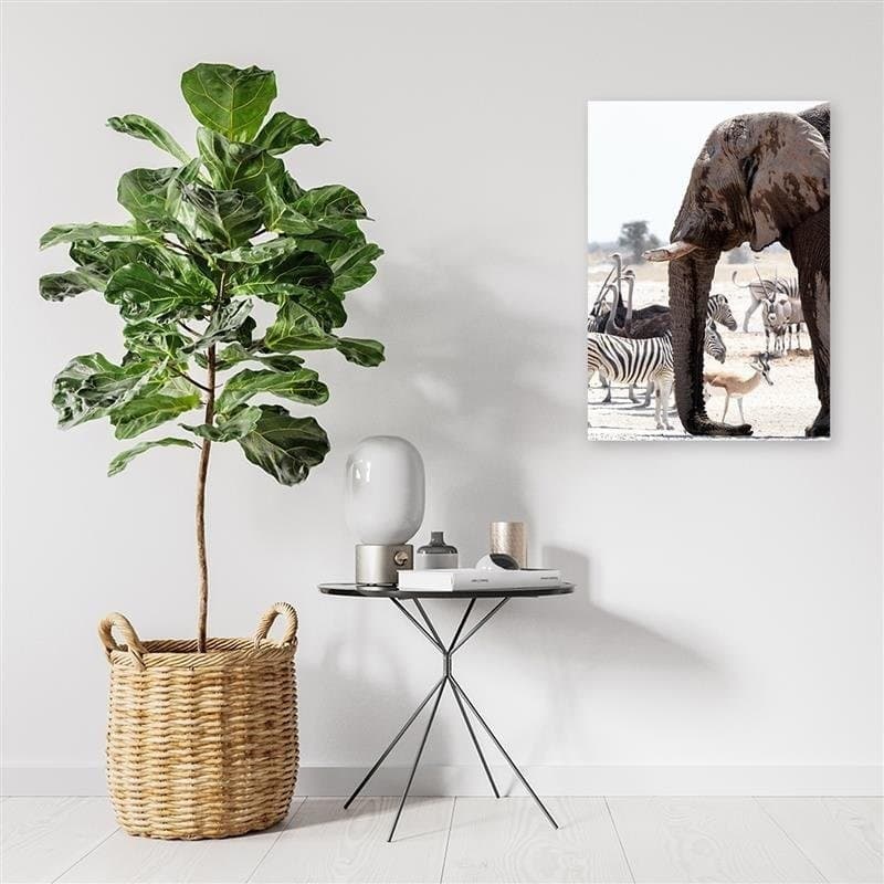 Quadro su tela, Elefante Africa Animali Natura in Poster e stampe Collezione Casa - Trebisacce, commercioVirtuoso.it