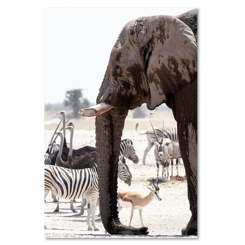 Quadro su tela, Elefante Africa Animali Natura in Poster e stampe Collezione Casa - Trebisacce, commercioVirtuoso.it