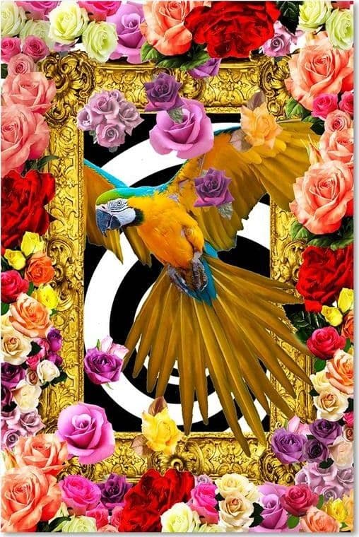 Quadro su tela, Pappagallo fiori colorati rose in Poster e stampe Collezione Casa - Trebisacce, commercioVirtuoso.it