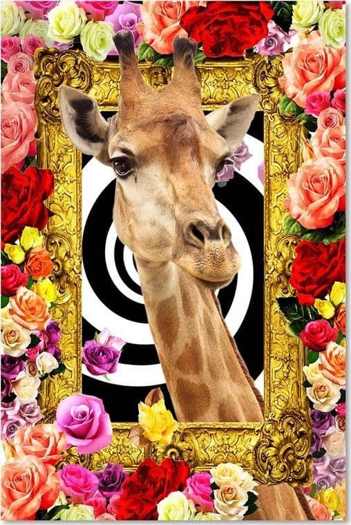 Quadro su tela, Giraffa fiori colorati in Poster e stampe Collezione Casa - Trebisacce, commercioVirtuoso.it
