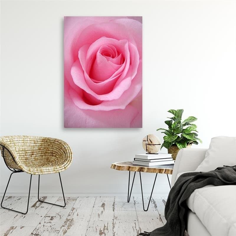 Quadro su tela, Pianta di fiori di rosa rosa in Poster e stampe Collezione Casa - Trebisacce, commercioVirtuoso.it