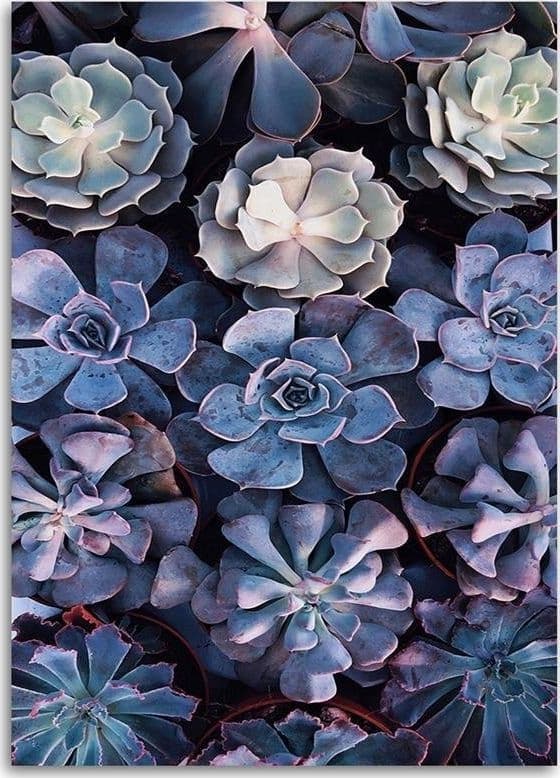 Quadro su tela, Fiori di lillà scandinavi in Poster e stampe Collezione Casa - Trebisacce, commercioVirtuoso.it