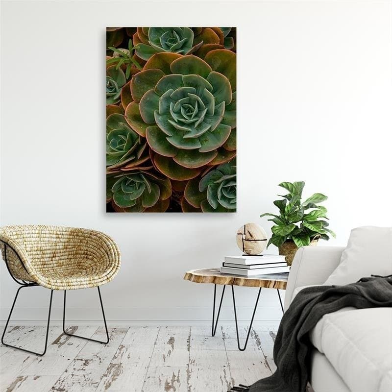 Quadro su tela, Fiore verde succulento in Poster e stampe Collezione Casa - Trebisacce, commercioVirtuoso.it