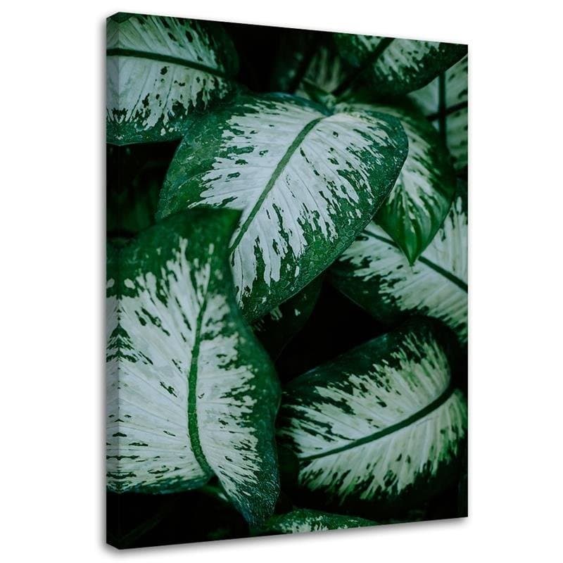 Quadro su tela, Foglie verdi pianta della natura in Poster e stampe Collezione Casa - Trebisacce, commercioVirtuoso.it