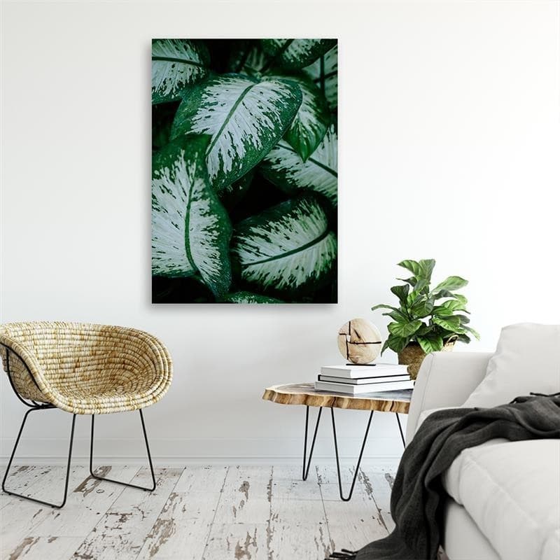 Quadro su tela, Foglie verdi pianta della natura in Poster e stampe Collezione Casa - Trebisacce, commercioVirtuoso.it