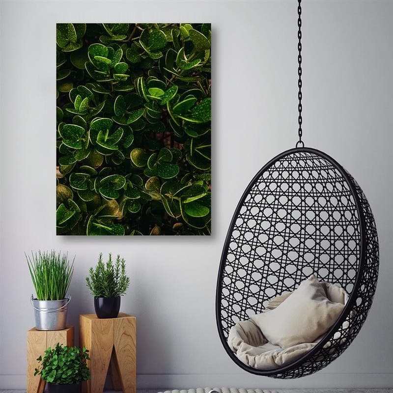 Quadro su tela, Foglie verdi esotiche in Poster e stampe Collezione Casa - Trebisacce, commercioVirtuoso.it
