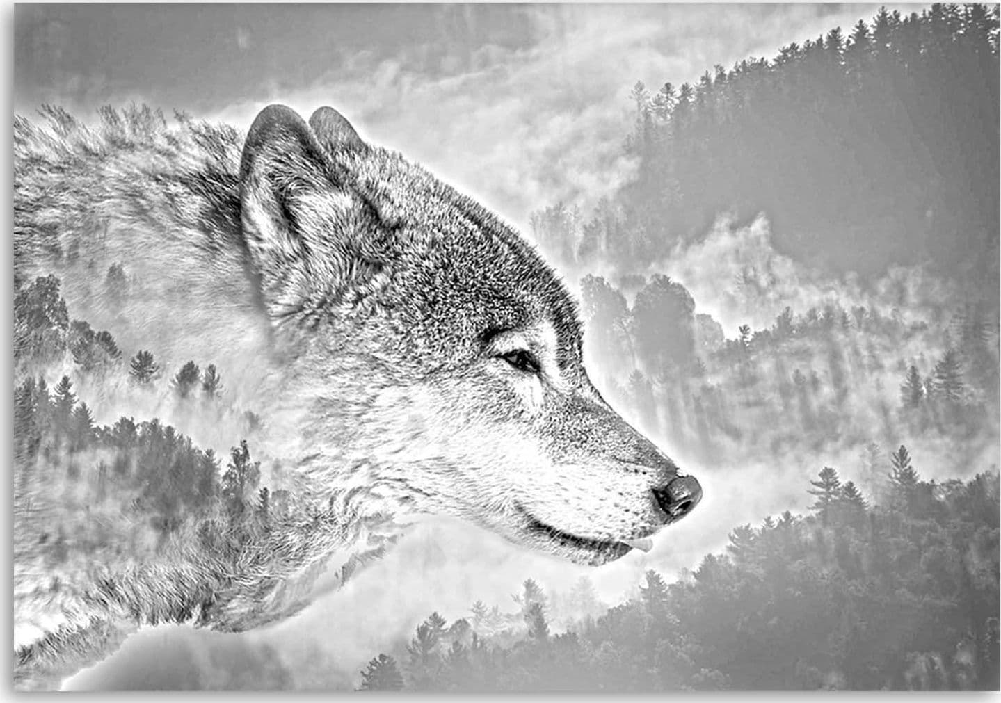 Quadro su tela, Lupo animale nebbia foresta natura in Poster e stampe Collezione Casa - Trebisacce, commercioVirtuoso.it