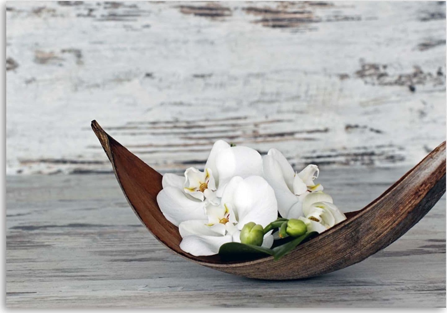 Quadro su tela, Fiori Orchidea Legno Zen Spa in Poster e stampe Collezione Casa - Trebisacce, commercioVirtuoso.it