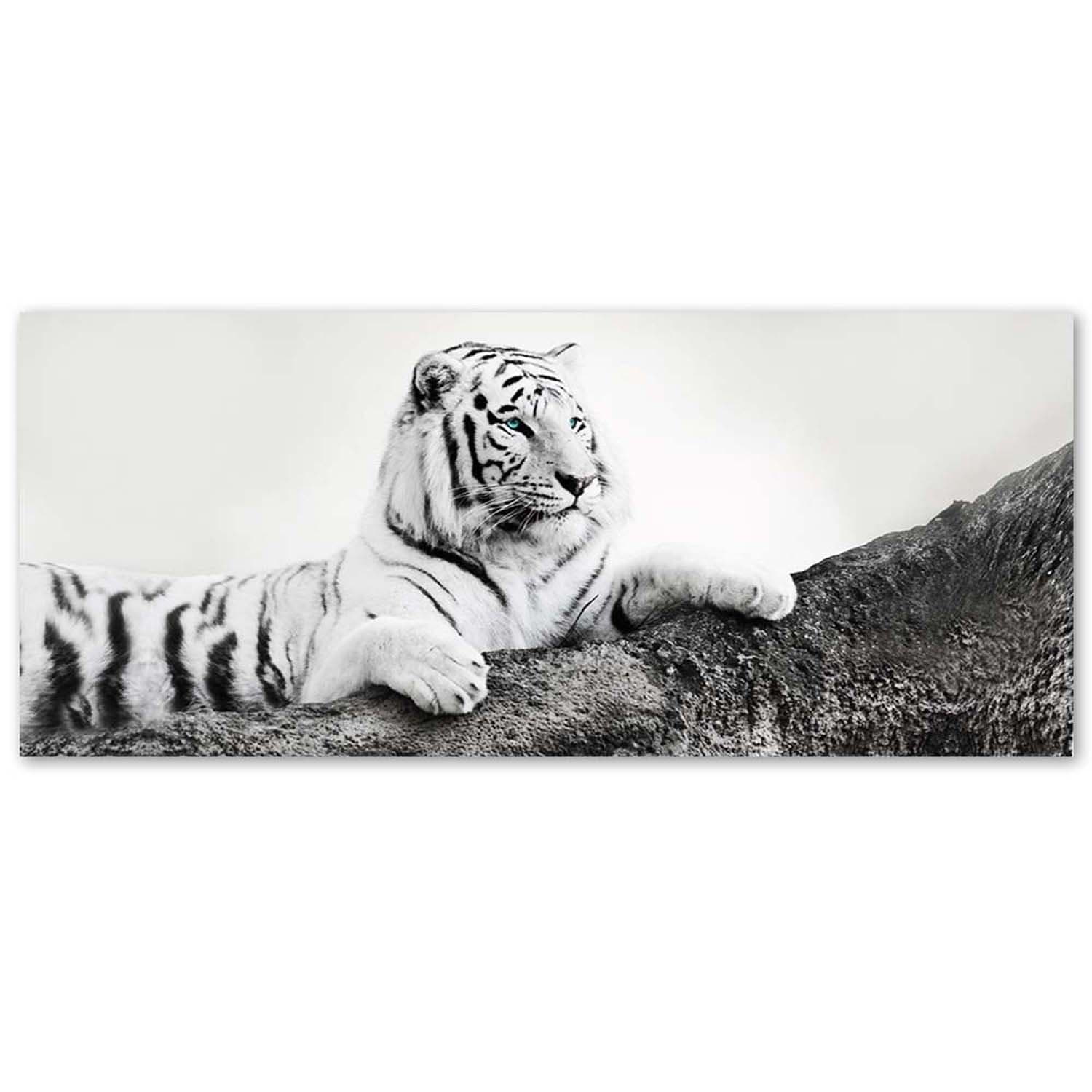 Quadro su tela, Animali tigre Africa in Poster e stampe Collezione Casa - Trebisacce, commercioVirtuoso.it
