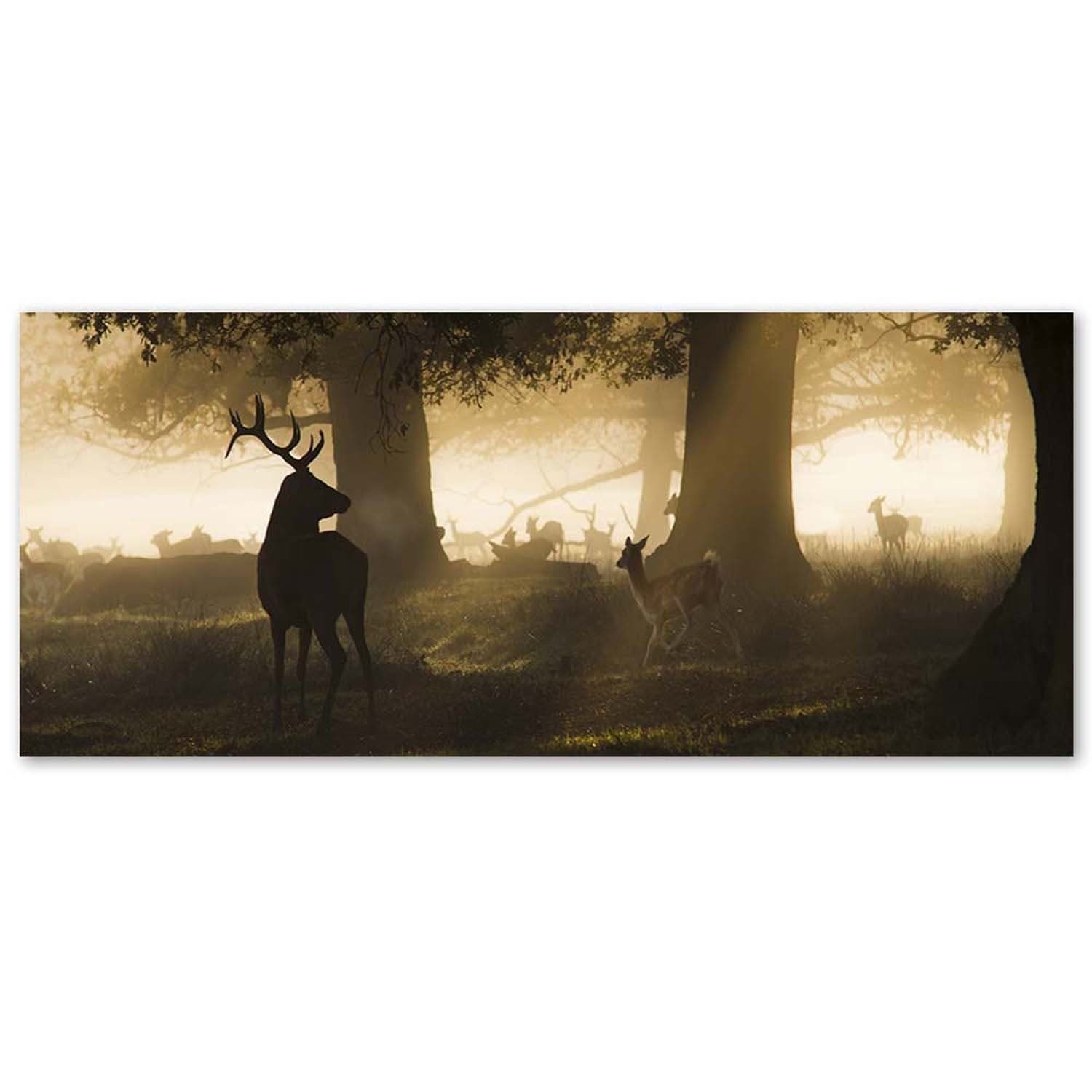 Quadro su tela, Cervo nella foresta nebbia marrone in Poster e stampe Collezione Casa - Trebisacce, commercioVirtuoso.it