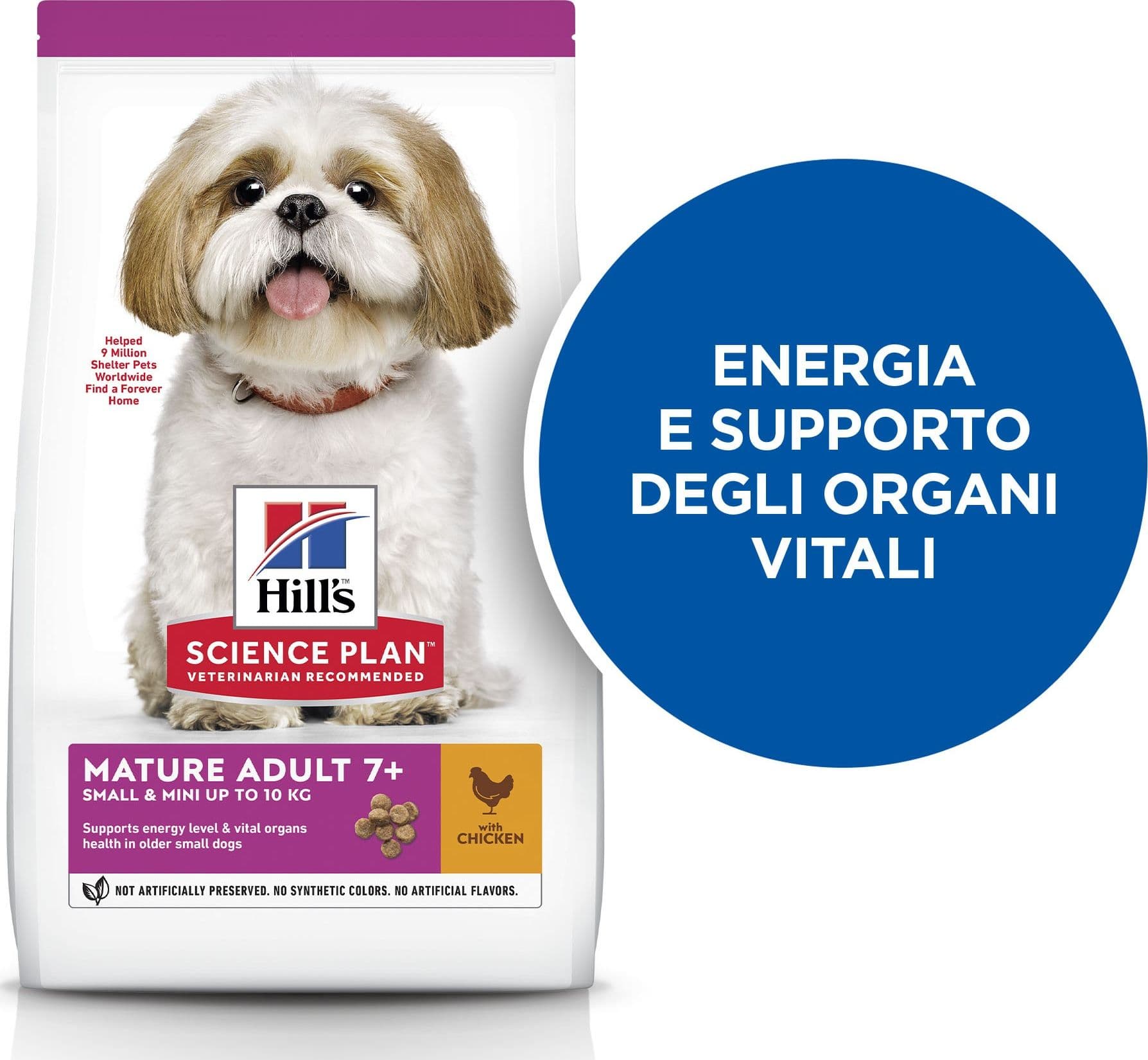 Hill's Mantenimento secco Cani Mature Mini pollo 1,5 kg in Secco 101 Market - Poggibonsi, commercioVirtuoso.it