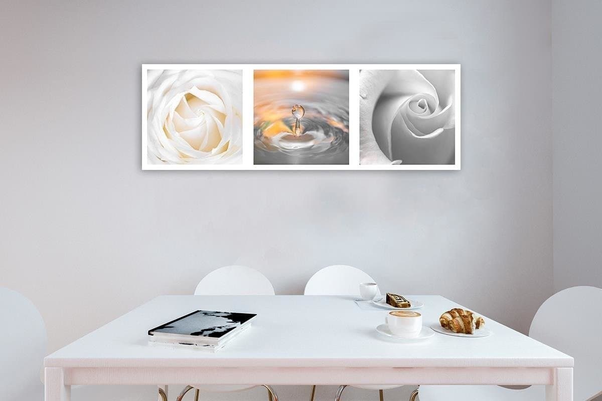 Quadro su tela, Rose Bianche Fiori panoramica in Poster e stampe Collezione Casa - Trebisacce, commercioVirtuoso.it