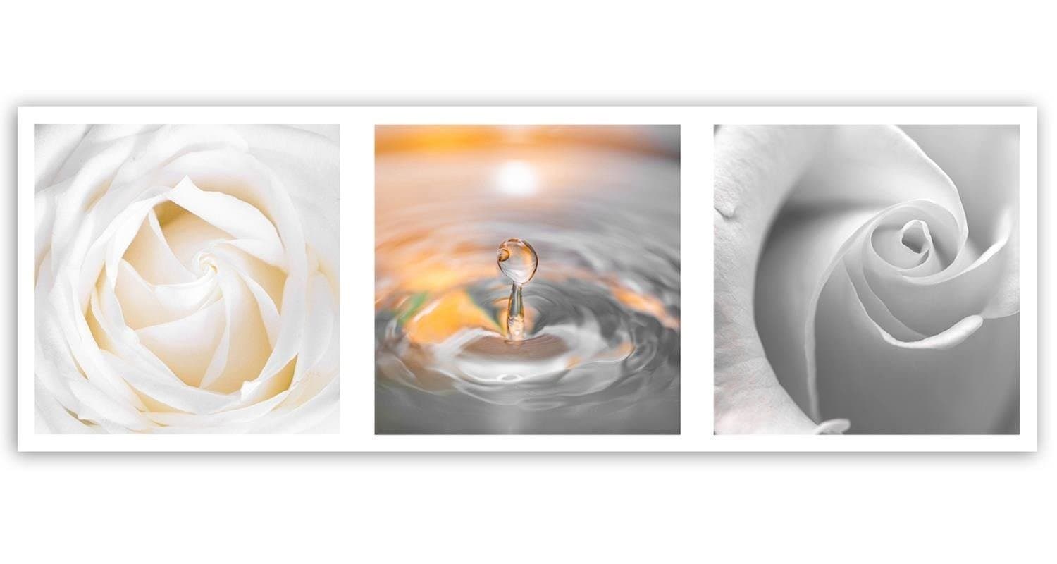 Quadro su tela, Rose Bianche Fiori panoramica in Poster e stampe Collezione Casa - Trebisacce, commercioVirtuoso.it