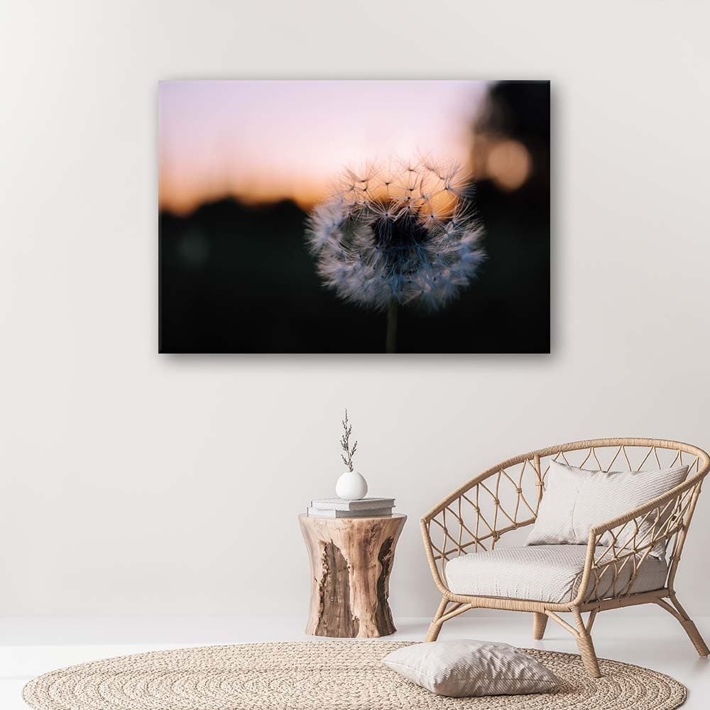Quadro su tela, Denti di leone al tramonto in Poster e stampe Collezione Casa - Trebisacce, commercioVirtuoso.it