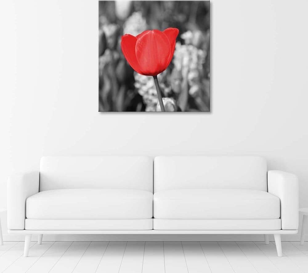 Quadro su tela, Moderno fiore di tulipano rosso su prato in Poster e stampe Collezione Casa - Trebisacce, commercioVirtuoso.it