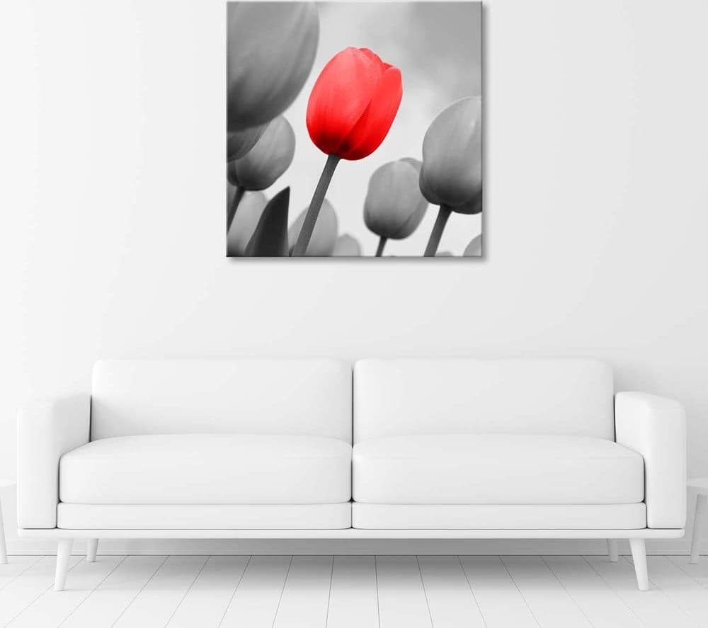 Quadro su tela, Fiore di tulipano rosso in Poster e stampe Collezione Casa - Trebisacce, commercioVirtuoso.it
