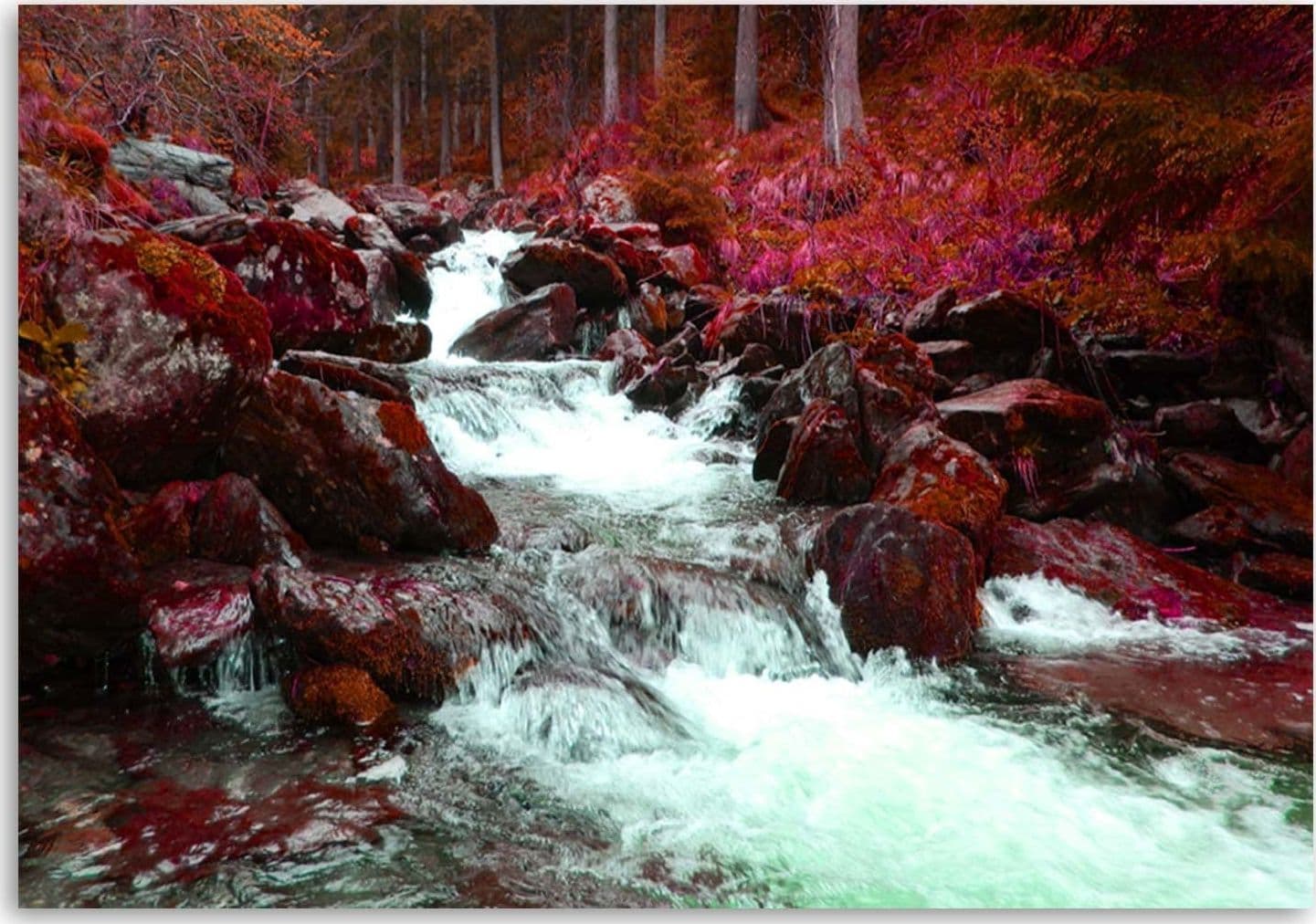 Quadro su tela, Torrente di montagna foresta rosso in Poster e stampe Collezione Casa - Trebisacce, commercioVirtuoso.it