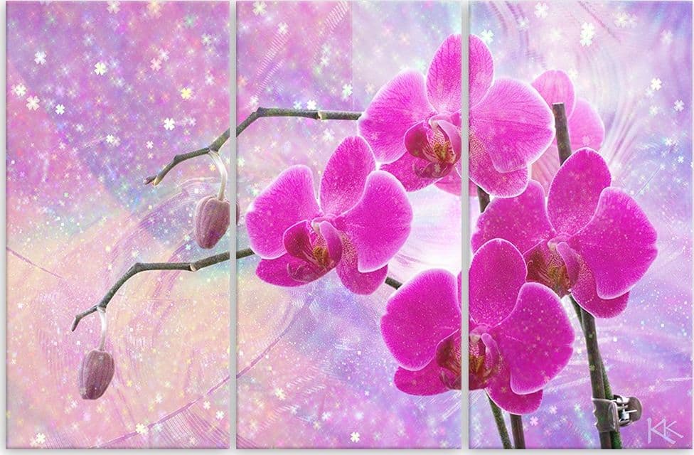 Quadro su tela 3 pannelli, Astrazione orchidea essenziale in Poster e stampe Collezione Casa - Trebisacce, commercioVirtuoso.it