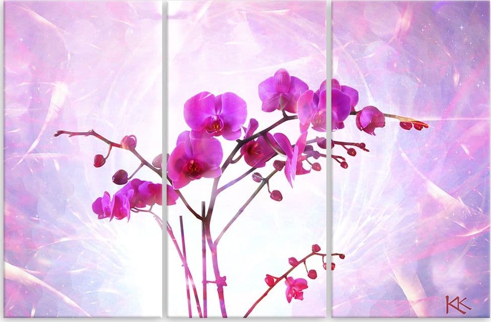 Quadro su tela 3 pannelli, Orchidea essenziale in Poster e stampe Collezione Casa - Trebisacce, commercioVirtuoso.it