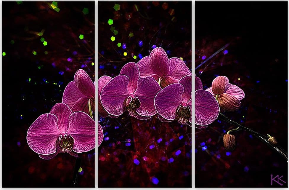 Quadro su tela 3 pannelli, Orchidea su uno sfondo scuro in Poster e stampe Collezione Casa - Trebisacce, commercioVirtuoso.it