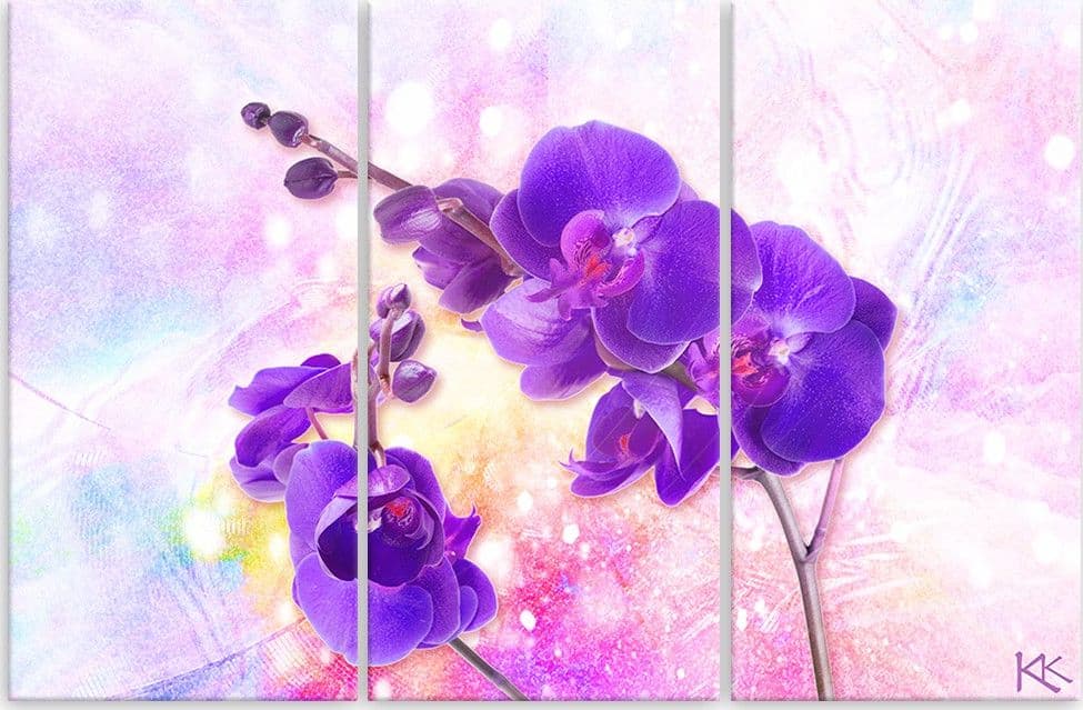 Quadro su tela 3 pannelli, Fiore di orchidea viola in Poster e stampe Collezione Casa - Trebisacce, commercioVirtuoso.it